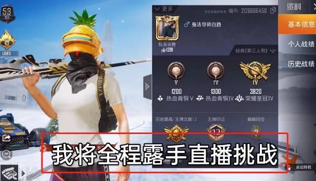 和平精英【天使】iOS辅助